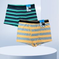 Boys' Boxers (various Styles Specific Email Communication)