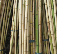 Bamboo Pole For Planting And Construction