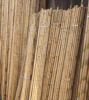 Bamboo Pole For Planting And Construction