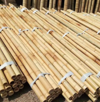 Bamboo Pole For Planting And Construction