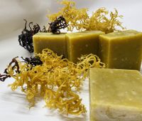 Golden Sea Moss S...