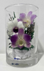 Preserved Flowers in glass for decorations