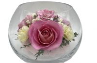 Preserved Pink Rose arranged in round sealed glass jar