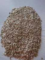 Sunflower Bakery Kernels