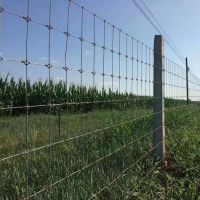 Field Fence Cattle Sheep Mesh Farm Pasture Ranch Border Deer Fencing Wire