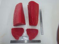 Yellowfin Tuna 