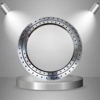 Factory Supply Double Roll Slewing Bearing Swing Bearing Ring Forging for Excavator Crane Mining Equipment Wind Power