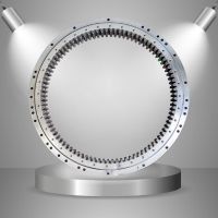 Swing Bearing Slewing Bearing Slew Circle Undercarriage Parts Sany Hitachi Komatsu Doosan Daewoo XGMA CAT Excavator SY215 SY235 PC200 PC300 SK200 ZX200 DH150