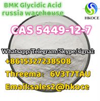 New BMK Glycidic Acid (sodium salt) CAS 5449-12-7 used in Pharmaceutical Industry