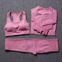 Fast Dry Long Sleeve Crop Top Seamless Bra and Leggings Women Tracksuit Set Fitness & Yoga Wear