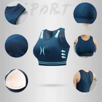 Ladies Seamless Sport Suit Gym Wear Suit Yoga Wear Suit Sportswear Running and Cycling Top