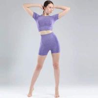 High Waist Scrunch Butt 2 Piece Bra Legging Seamless Fitness Sport Womens Gym Workout Short Set Ladies Yoga Wear