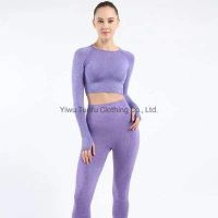 Yoga Suit Women′s Suit Fitness Top Long Sleeve Jacquard Sport High Waist Tight Hip Lifting Seamless Yoga Wear