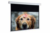 In Ceiling Motorized Projector Screen