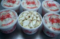 Fresh & Pasteurized Blue Swimming Crab Meat