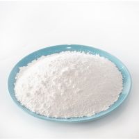White Powder Titanium Dioxide Rutile for Paint Coating /Dioxide Titanium TiO2