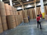 Kraft Paper Output 30, 000 Tons/month From Vietnam