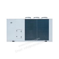 Rooftop package AC unit direct expansion and water coil