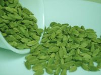 Cardamom