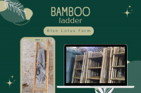 Best Seller Bamboo Ladder From Vietnam