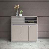 1.2m Short Cabinet Filing Cabinets file Cabinet