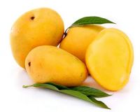 Wholesale Fresh Mango dokmai Thailand Alphonso Mango Fruit Mango Pulp Yellow Tropical Style Color