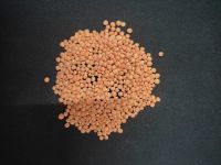 Whole Lentils All Color Available for Sale