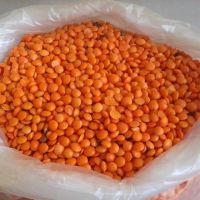 Whole Red Lentils Masoor Dal/ Green Mung Beans, Pinto Bean, Light Speckled, Kidney Beans, Light Brow