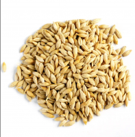 https://ar.tradekey.com/product_view/100-Malt-Barley-Pearl-Barley-For-Sale-Animal-Feed-100-Barley-Seeds-10261325.html