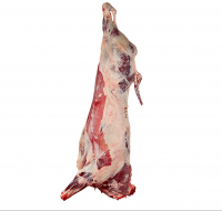 Frozen Boneless Beef/ Cow Meat / Beef Carcass