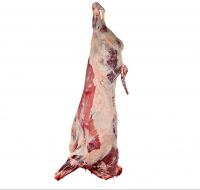 Frozen Cow Beef 12 to 29 cuts Newly Certified for Chinese market, Boneless Meat, big plant capacity for contract