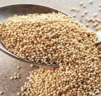High Quality Quinoa With Small White Grain About The Size Of Millet For Sale White Quinoa Red Black Quinoa