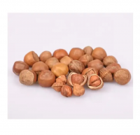 https://jp.tradekey.com/product_view/Best-Quality-Blanched-Hazelnuts-Organic-Hazel-Nuts-For-Sale-10262547.html