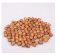 Best Quality Blanched Hazelnuts / Organic Hazel Nuts For Sale