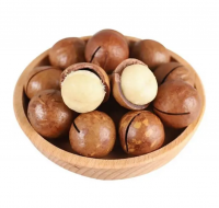 Top grade roasted Macadamia nuts good quality salted macadamia in shell whole 22-25 mm origin Vietnam