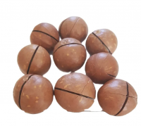 https://www.tradekey.com/product_view/High-Quality-Macadamia-Nuts-Roasted-Macadamia-Organic-Macadamia-Nuts-10262555.html