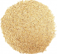 Crop Grain Dried Hulled Yellow Millet For Bird Feed