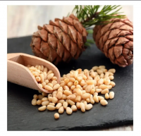 Bulk Pine Nuts 10 Pound Box Wholesale Suppliers / Top Grade Pine Nuts Available For Export From Germany