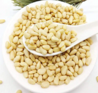 Supply Top Grade Pine Nuts Pine Nut Kernels Discount Price