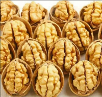 High-quality nuts / thin-skinned dried walnuts / whole walnut shells-shelled walnuts