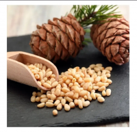 Top Grade Pine Nuts Available/dry Fruit Pine Nut Kernels Pure Red