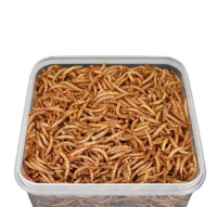 Animal Food Improve Health Dried Mealworms