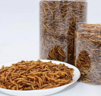 Finished product high protein dried mealworm for animal feed dried Mealworms