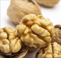 Wholesale Top Quality Chinese Walnut Kernels Walnut Halves Light Amber Halves Walnut Kernels