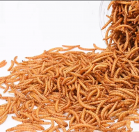 High Protein Yellow Frozen Mealworms For Pet Birds Food Amphibians Aquatic Feeder And Fishing Bait Canned