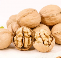 Wholesale Top Quality Chinese Walnut Kernels Walnut Halves Light Amber Halves Walnut Kernels