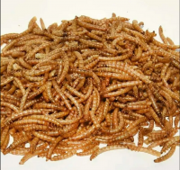 High Protein Yellow Frozen Mealworms For Pet Birds Food Amphibians Aquatic Feeder And Fishing Bait Canned