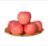 https://www.tradekey.com/product_view/Fresh-Apple-Fruit-New-2023-Red-Green-Tasty-Fuji-Qinguan-Gala-Apple-10264485.html