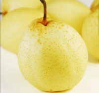 High quality fresh pears bulk purchase factory price