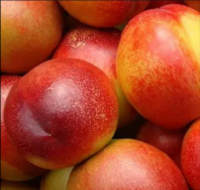 HIGH QUALITY Freeze Dried Peach / Fresh Peach Fruits / Caned Peach Fruits FOR SALE FROM EUROPE